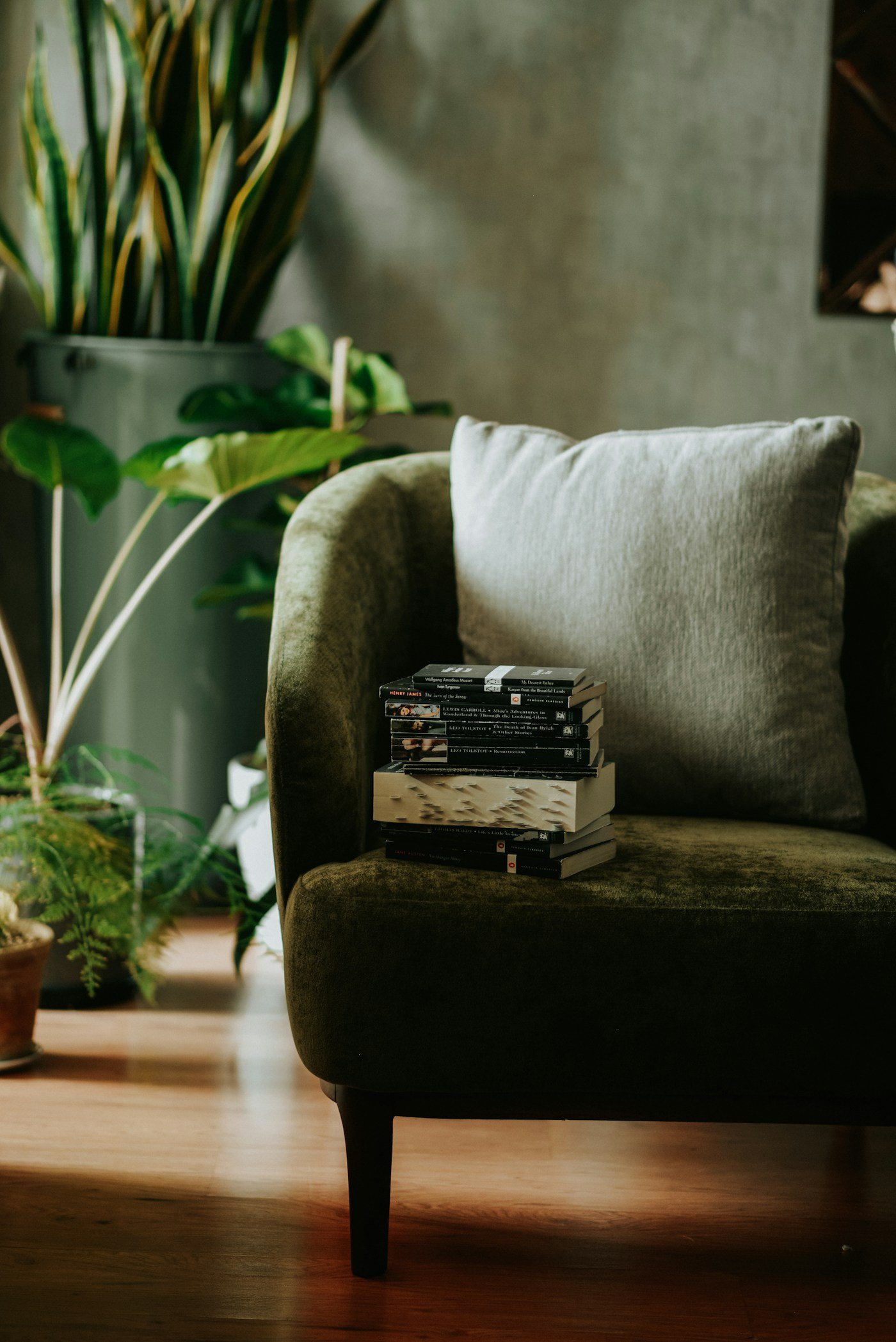 Fauteuil en velours vert, plantes et lumière douce — ambiance apaisante